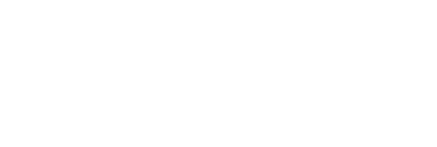 Google Reviews